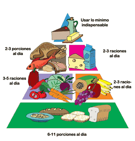 Pirámide Alimentos Constructores